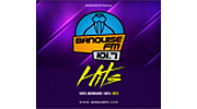 Banquise Hits